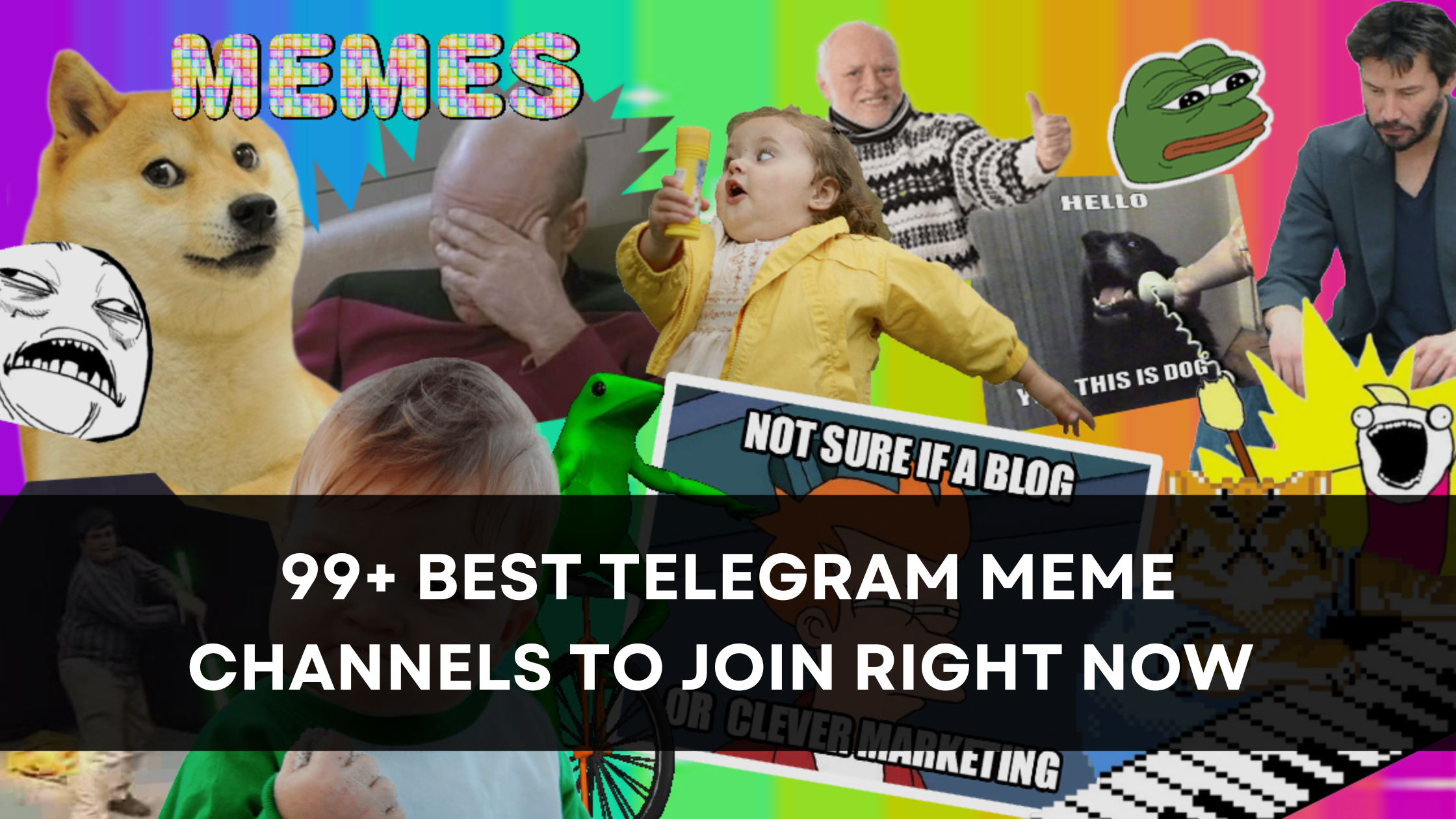 99+ Best Telegram Meme Channels to Join Right Now [August 2023]