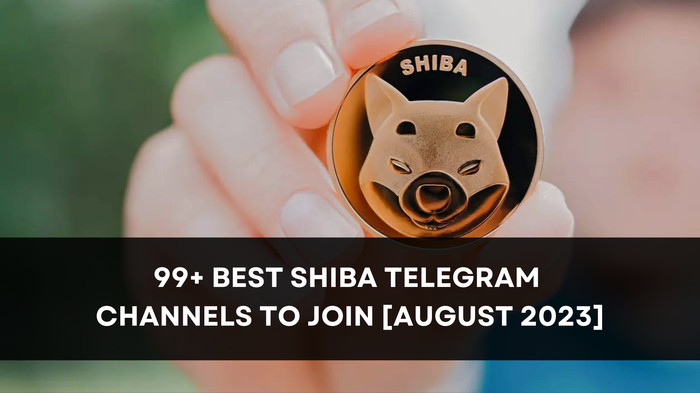 99+ Best Shiba Telegram Channels to Join [August 2023]