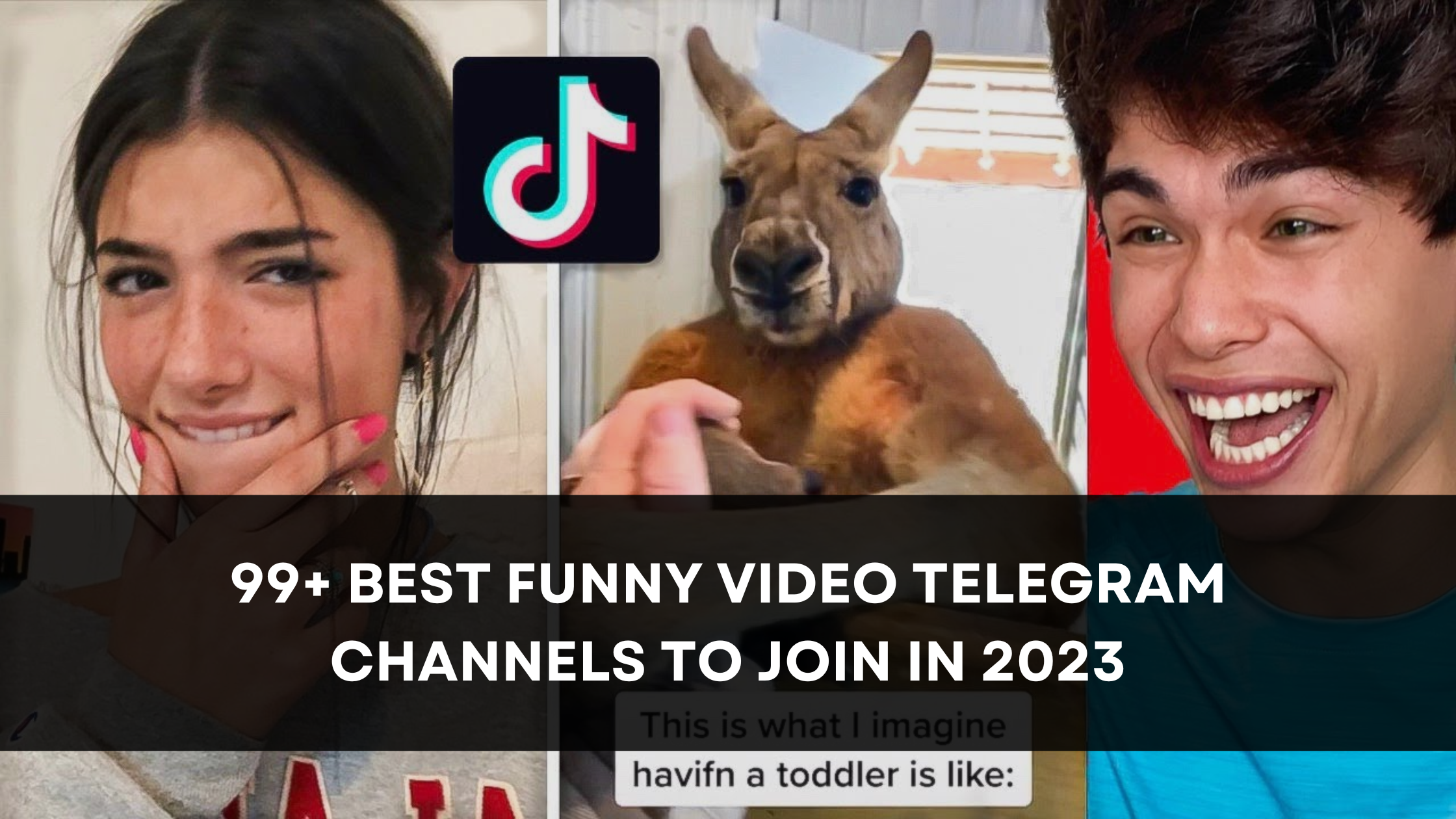 99+ Best Funny Video Telegram Channels to Join[September 2023]